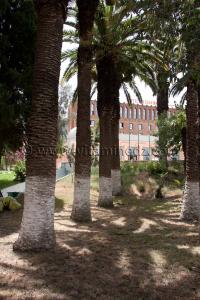 algérie les zianides tlemcen Hotel Tlemcen Les Zianides