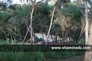 siga tafna  Village longeant le Oued Tafna