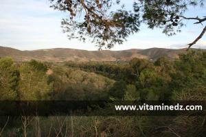 siga tafna Ain Temouchent