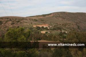 ferme coloniale ; Ain Temouchent Siga