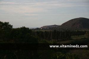 rachgoun location  l\'ile tres visitée l\'été