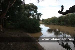 Carte Oued Tafna Ain Temouchent Siga