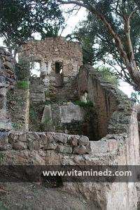 Moulin a Eau à Siga  Village longeant le Oued Tafna avec un petit espace de pic nic pour les familles.