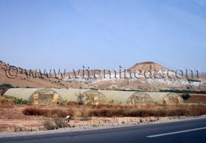 Agriculture sous serre hammam boughrara tlemcen algerie