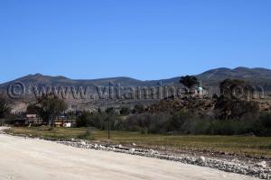 remchi montagnac Tlemcen, marabout