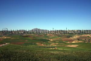 meteo remchi montagnac Tlemcen, commune agricole fertile