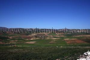 remchi montagnac Tlemcen, commune agricole