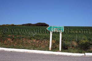 Village Hamamouche à coté remchi Tlemcen