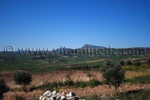 Terres agricoles remchi montagnac Tlemcen