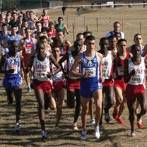 Chlef - Challenge de cross Ahmed Klouch:  Mihout et Dahmani dominent