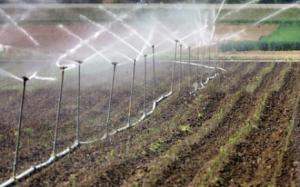 La sécheresse sévit en Algérie, mais elle n'inspire plus les mêmes craintes