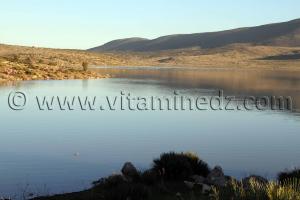 Mefrouche Tlemcen, le barrage a fait le plein