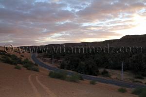 taghit l\'enchanteresse  Oued Zousfana