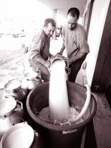 Blida -  Le lait et le fromage de chèvre bientôt commercialisés