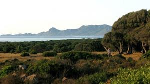 Crimes contre la nature à Guerbes Sandhadjah