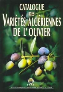 Le lent retour de la filière oléicole algérienne