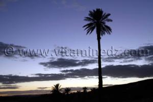 taghit l\'enchanteresse Oasis dans la wilaya de Bechar.