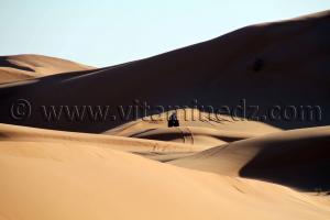 Moto-cross à Taghit