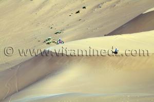 la Fédération algérienne des sports mécaniques organise, du 25 au 29 décembre, un rallye autos et motos Alger – Tlemcen – Béchar.