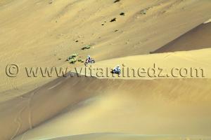 Course Moto-cross à Taghit