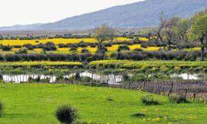 Zone humide Guerbès-Sanhaja:  Le pôle des associations sonne l’alerte
