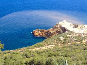 Oran - LUTTE CONTRE LES CONSTRUCTIONS ILLICITES