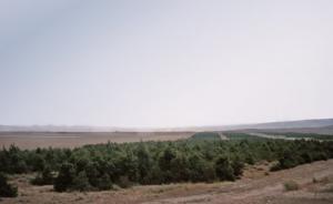 NAÂMA -  Les bandes forestières polluées