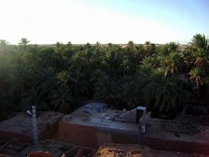 L'exubérante palmeraie de Beni Aissi