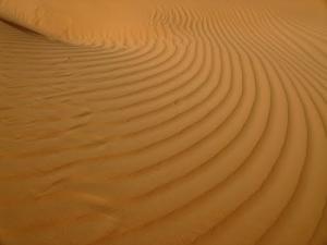 Gran Erg Occidental. De Timimoun a Tala