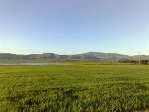 'el yesria' Bir-safsaf oued-fodda