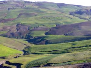 Tadjena vers le nord (ayachich)