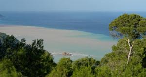 Damous  Ras Taîzirt