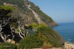 Beni Haoua  les sources