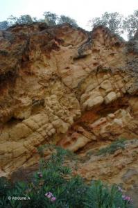 Beni Haoua  les sources