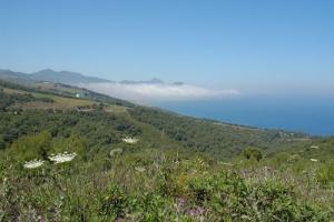 La côte de Oued Goussine sous le brouillard