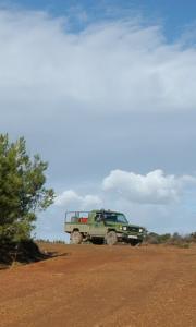 Prospection dans les forêts