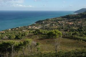 Larhat  douar Ikhlifaine