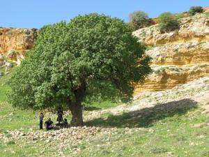 El-Guenanssa, Boukader, Baticha