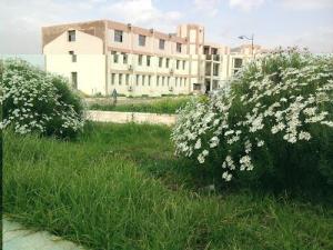 university hassiba ben bouali chlef ouled fares