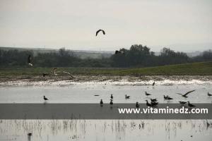 Saint Barbe du Tlelat, Oued Tlelat, Oran
