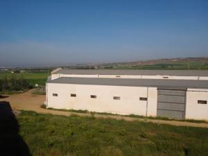 GFF groupe Fettahpoultry moulin