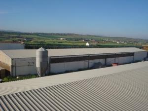 GFF groupe Fettahpoultry hangars
