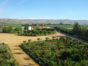 GFF groupe Fettahpoultry rentré