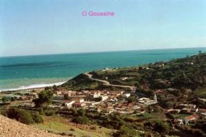 O Goussine