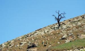 Beni Mileuk  paysage