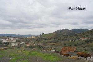 Vue sur Beni Mileuk,décembre 2008