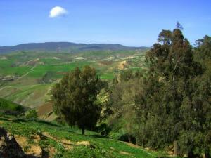 Tadjena - nord-ouest