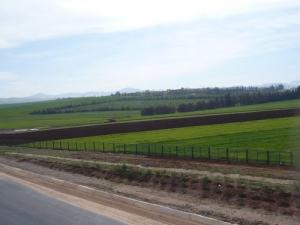 la nature prés de l'autoroute