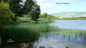 Abou el Hassan  le lac