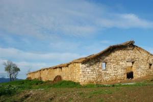 Poulailler en ruines